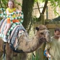 Camel Ride